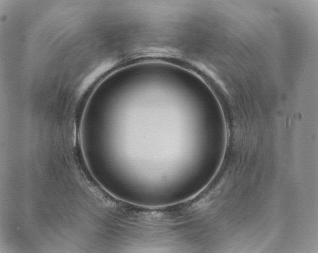 X0000089661317200706211119