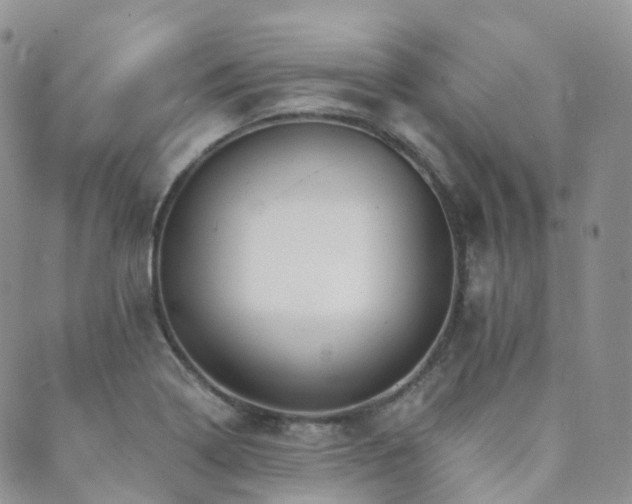 X0000089661322200706211119