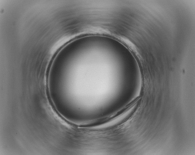 X0000089661335200706211119