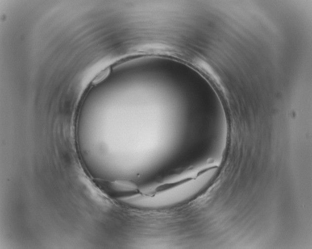 X0000089661336200706211119