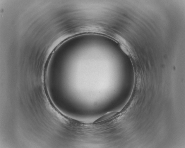 X0000089661339200706211119