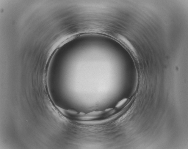 X0000089661340200706211119