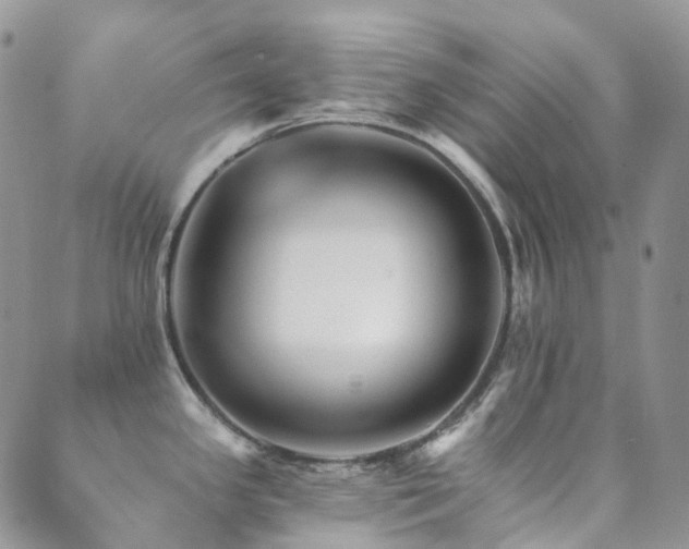 X0000089661341200706211119