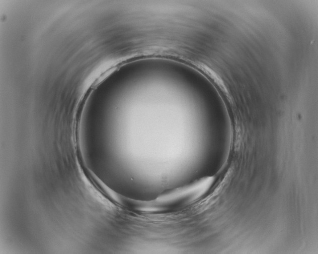 X0000089661342200706211119