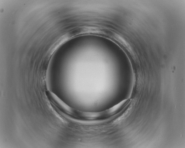 X0000089661377200706211118