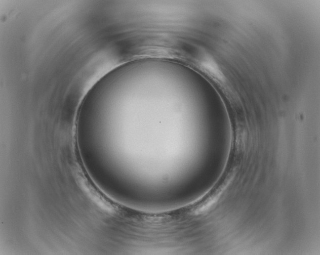 X0000089661378200706211118