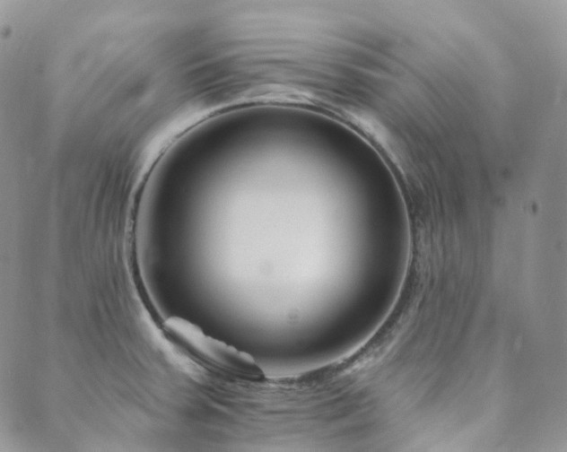 X0000089661379200706211118