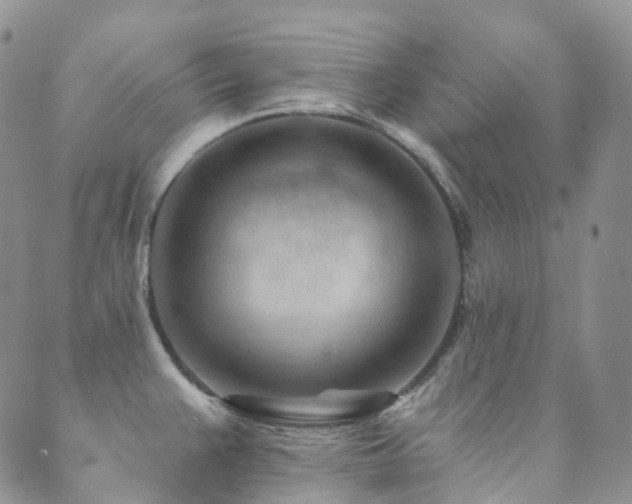 X0000089661383200706211118