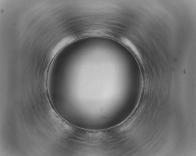 X0000089661386200706211118