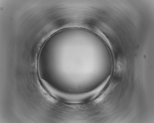 X0000089661388200706211118