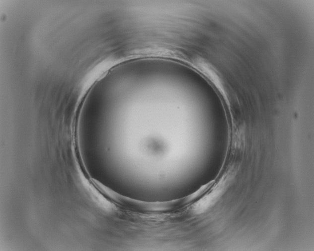 X0000089661389200706211118
