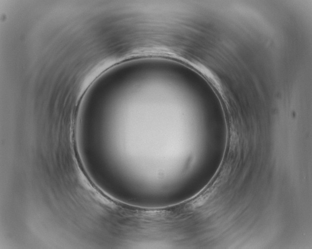 X0000089661390200706211118