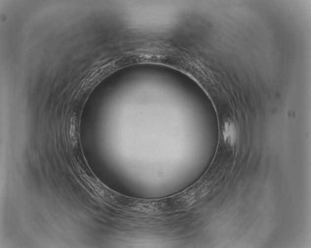 X0000089661396200706211117