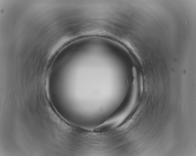 X0000089661422200706211117