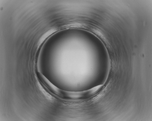 X0000089661426200706211118