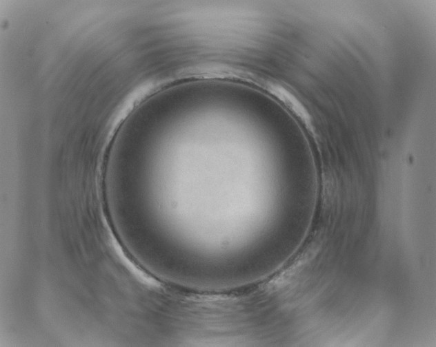 X0000089661429200706211118