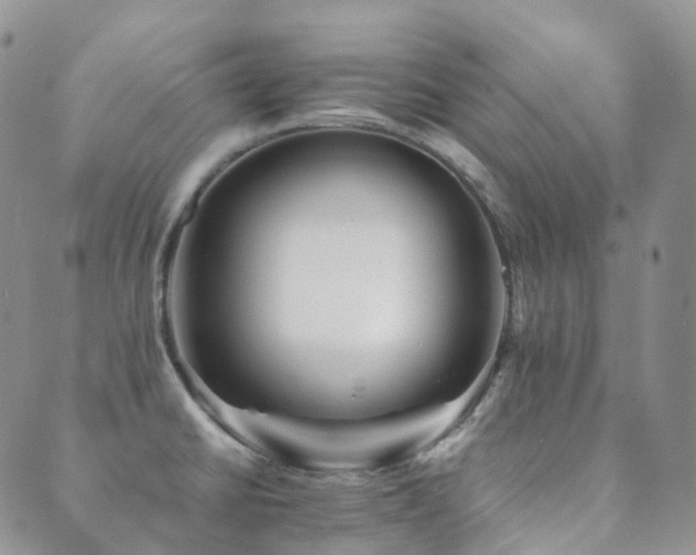 X0000089661430200706211118