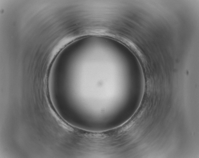 X0000089661432200706211118