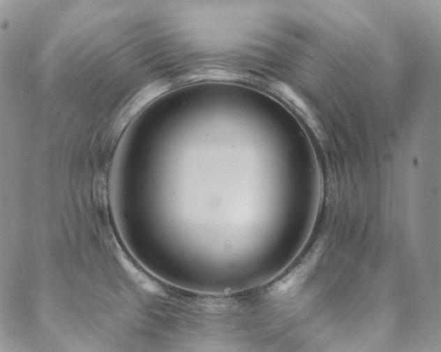 X0000089661433200706211118