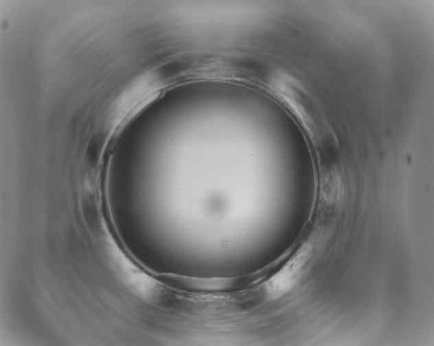 X0000089661434200706211118