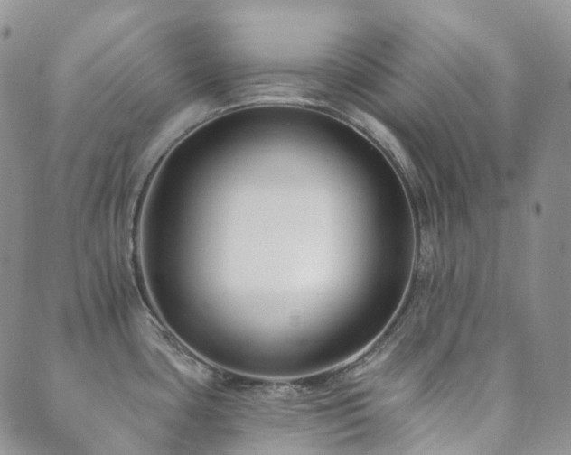 X0000089661435200706211118