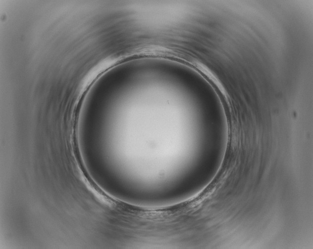 X0000089661437200706211118