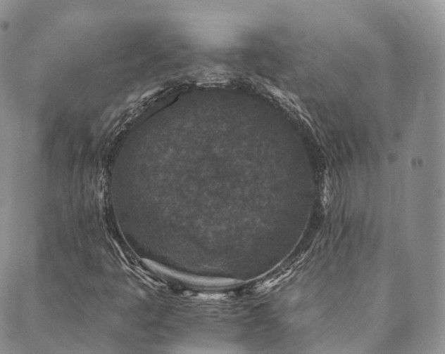 X0000089661445200706211117