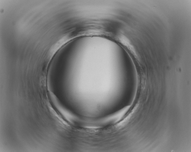 X0000089661473200706211117