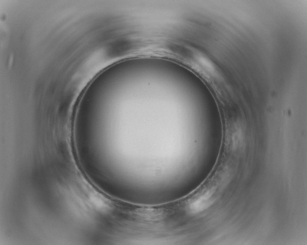 X0000089661478200706211116