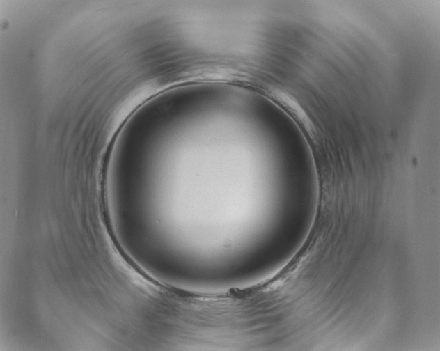 X0000089661483200706211116