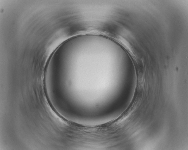 X0000089661484200706211116