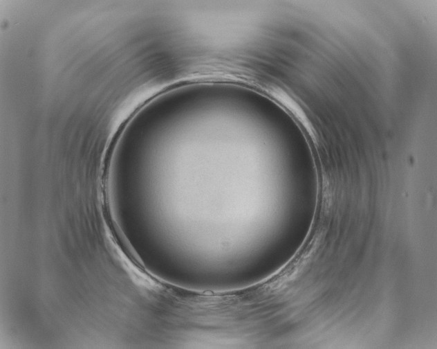 X0000089661485200706211116