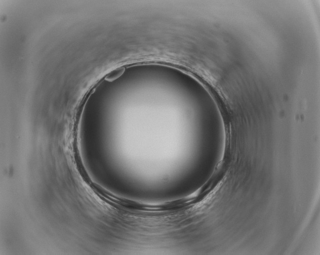 X0000089661500200706211116