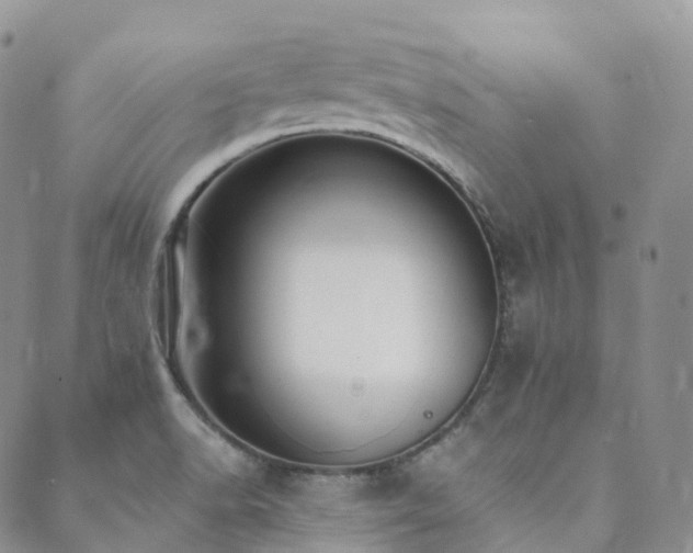 X0000089661518200706211116