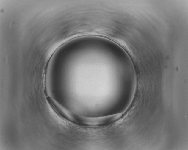 X0000089661524200706211116