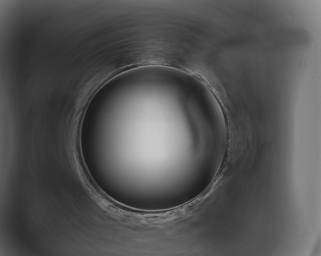 X0000089660001200706281329