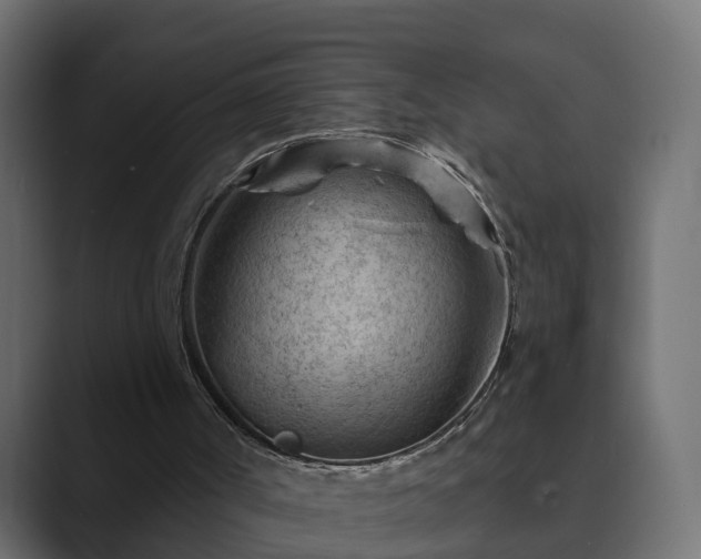 X0000089660002200706281329