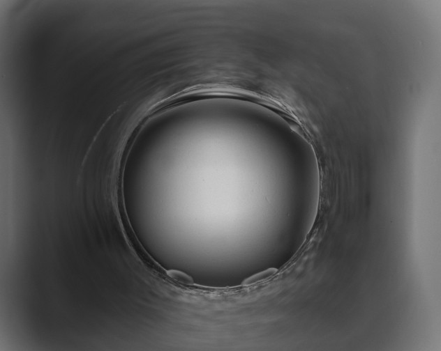 X0000089660003200706281329