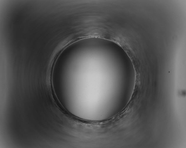 X0000089660004200706281329