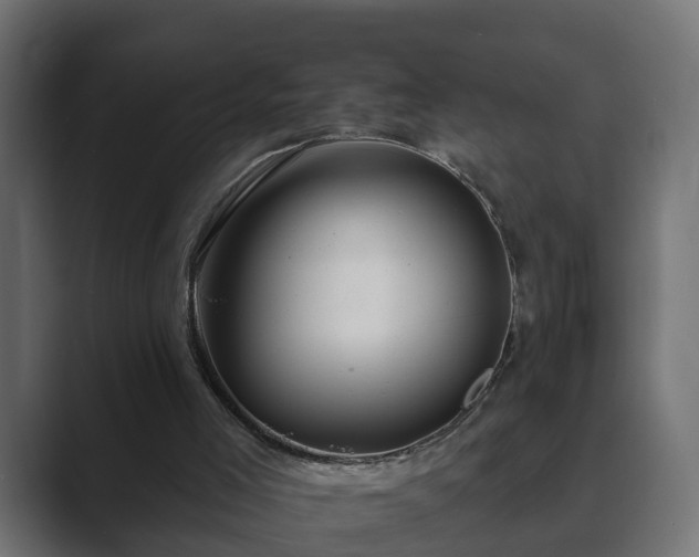 X0000089660005200706281329
