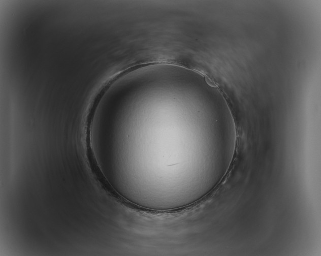 X0000089660006200706281329