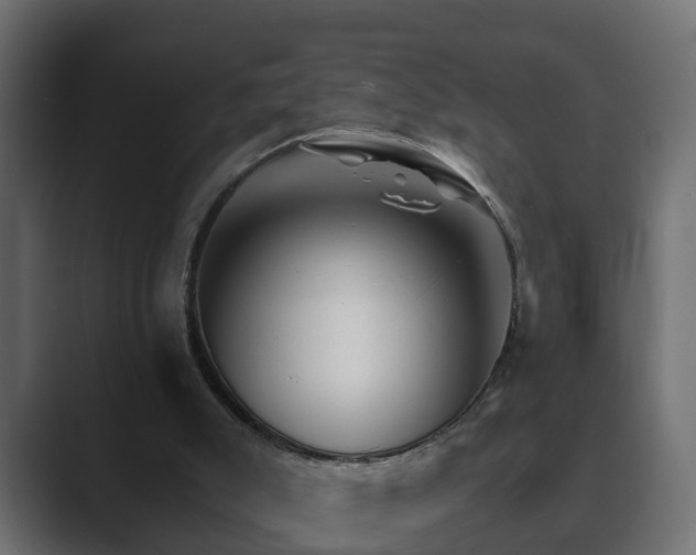 X0000089660007200706281329