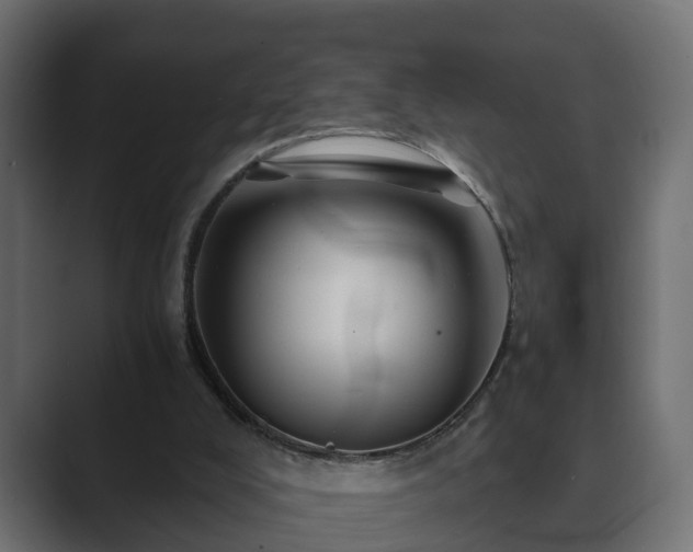 X0000089660008200706281329