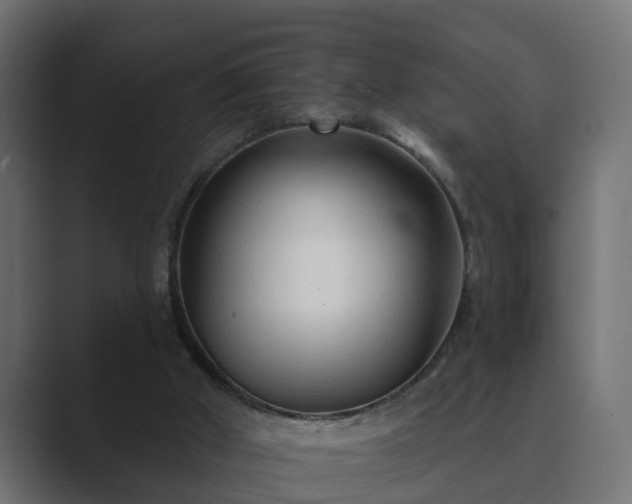X0000089660010200706281329