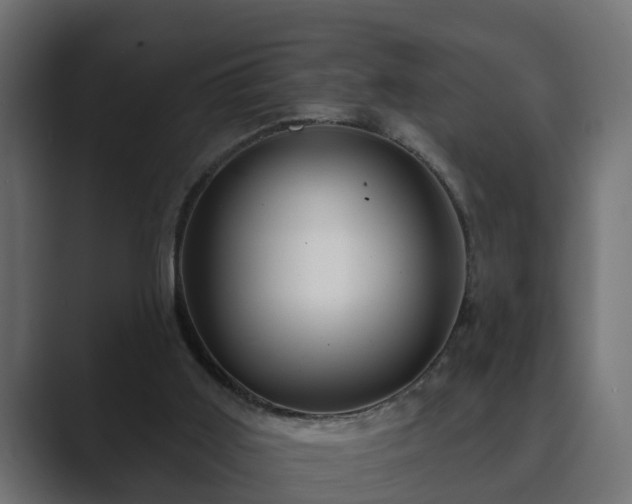X0000089660011200706281329