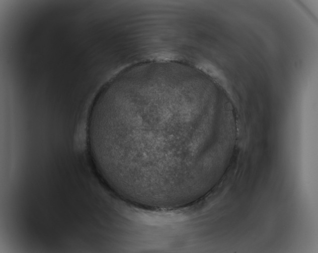 X0000089660012200706281329