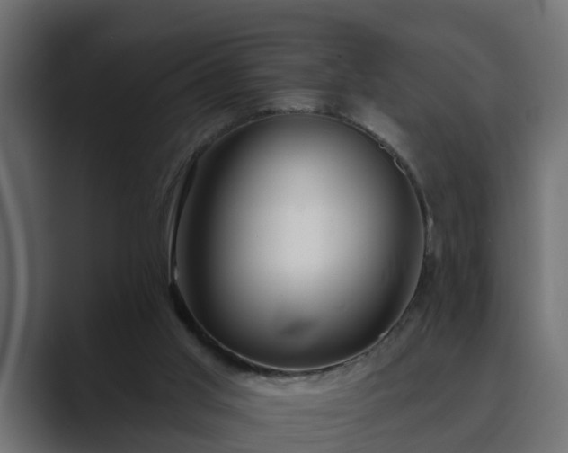 X0000089660013200706281329