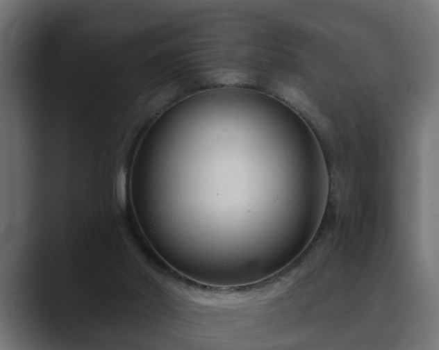 X0000089660014200706281329