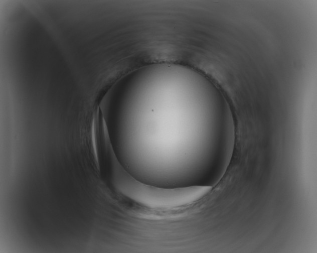 X0000089660017200706281329