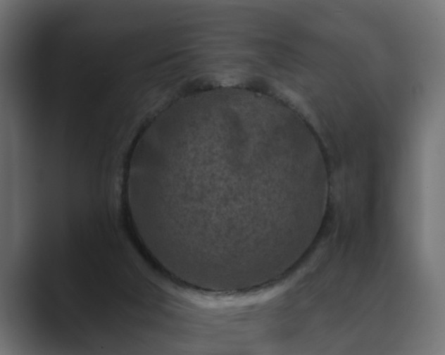 X0000089660018200706281329